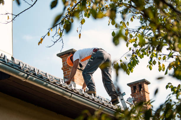 Best Metal Roofing Contractor  in Munford, AL