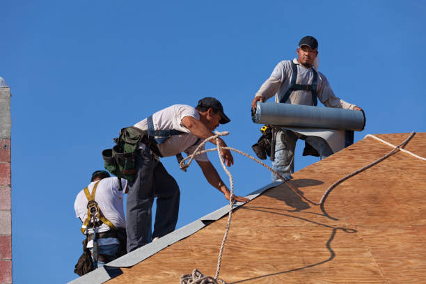 Best Metal Roofing Contractor  in Munford, AL